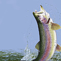 Rainbow Fly