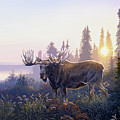 Wilderness Sunrise